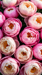 Similar image 22333523