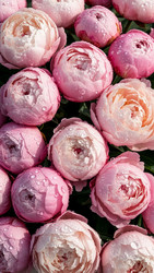 Similar image 22333524