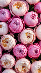 Similar image 22338330