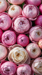 Similar image 22333525