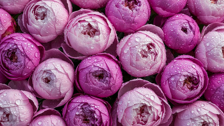 Similar image 22333529