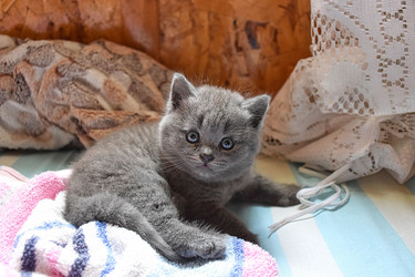 Similar image 22340313