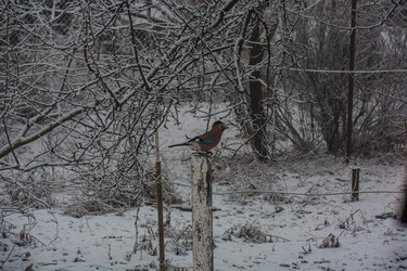 Similar image 22333781