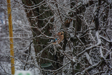 Similar image 22333782