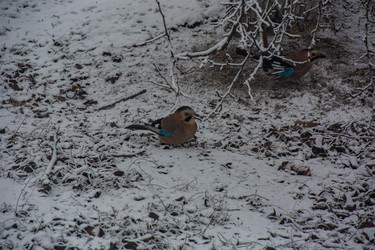 Similar image 22333783