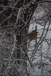 Similar image 22333784