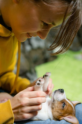 Similar image 22339072