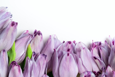 Similar image 22339073