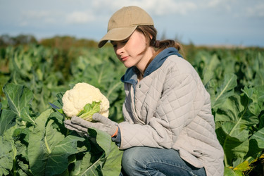 Similar image 22339076