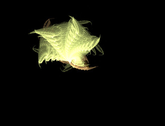 Similar image 22347888