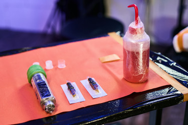 Similar image 22342842