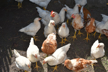 Similar image 22334986