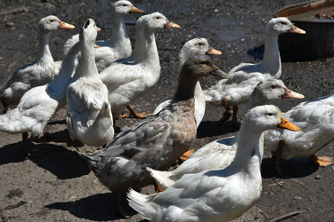 Similar image 22334992