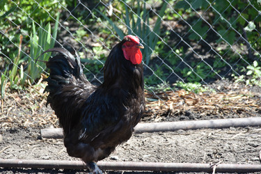 Similar image 22334993