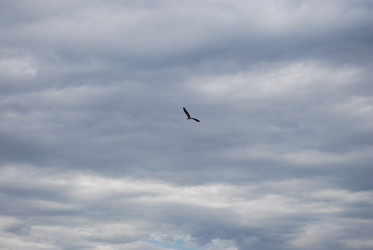 Similar image 22334994