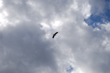 Similar image 22334995