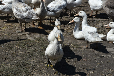 Similar image 22334998