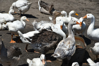 Similar image 22335100