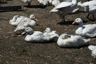 Similar image 22335102