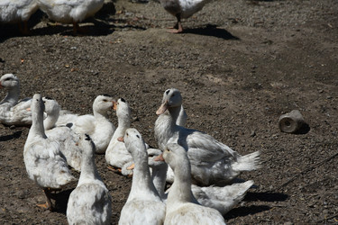 Similar image 22335103