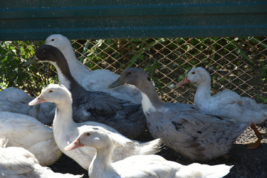 Similar image 22335105