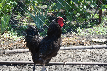 Similar image 22335107