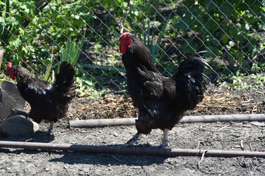 Similar image 22335108