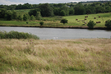 Similar image 22334946