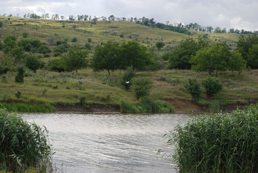 Similar image 22334947