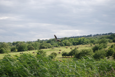 Similar image 22334949