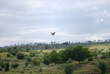 Similar image 22334950