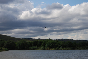 Similar image 22334951