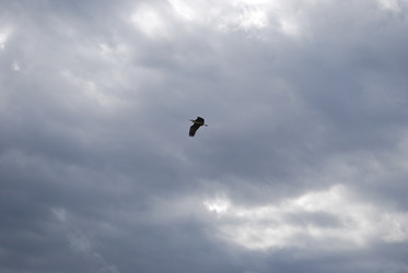 Similar image 22334953