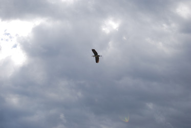 Similar image 22334954