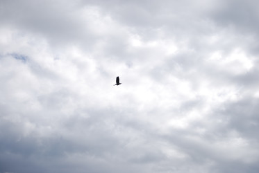 Similar image 22334955