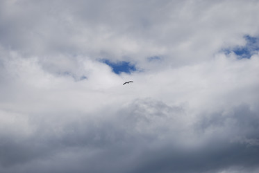 Similar image 22334959