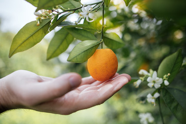 Similar image 22334774