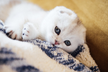 Similar image 22334799