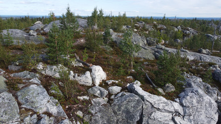 Similar image 22338502