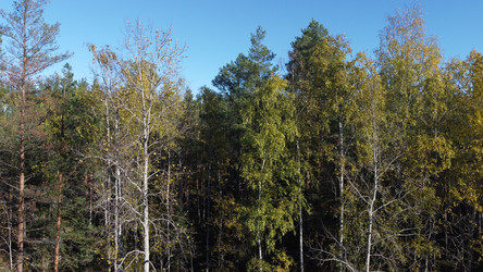 Similar image 22338510