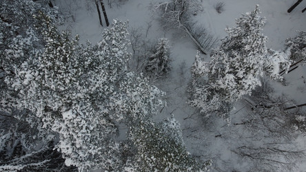 Similar image 22338567