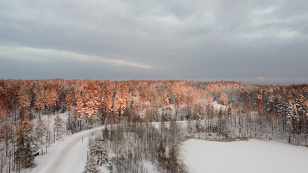 Similar image 22338574