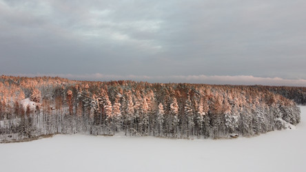 Similar image 22338575