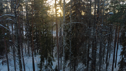 Similar image 22338584