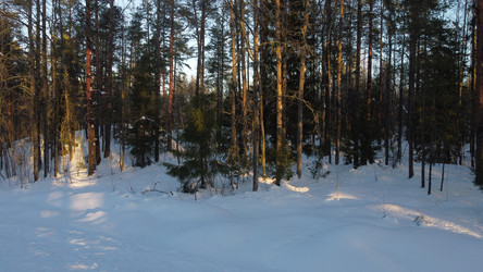 Similar image 22338592