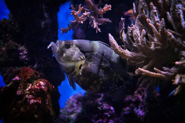 Similar image 22337445