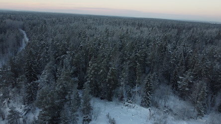 Similar image 22338515