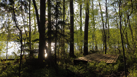 Similar image 22338526