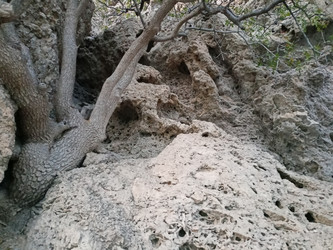 Similar image 22335201