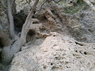 Similar image 22335202